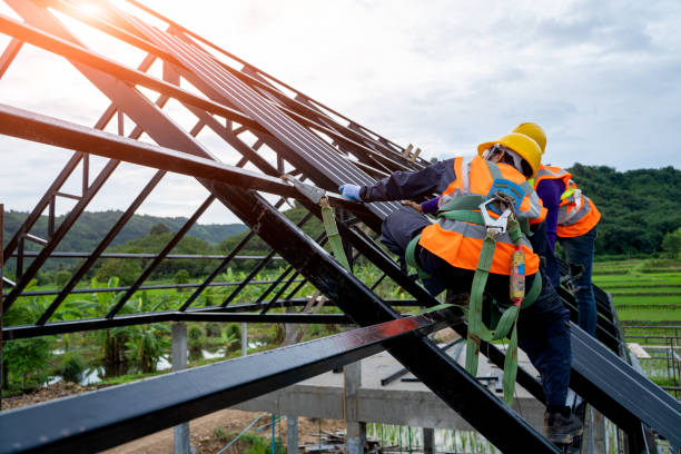 Best Gutter Installation and Roofing  in Wrangell, AK