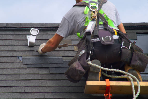 Best Roof Repair Services  in Wrangell, AK