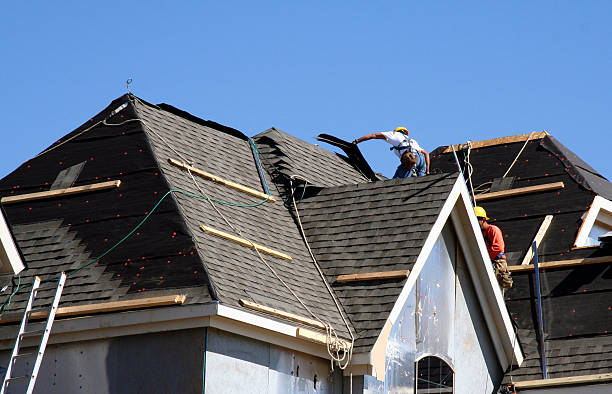 Best Storm Damage Roof Repair  in Wrangell, AK