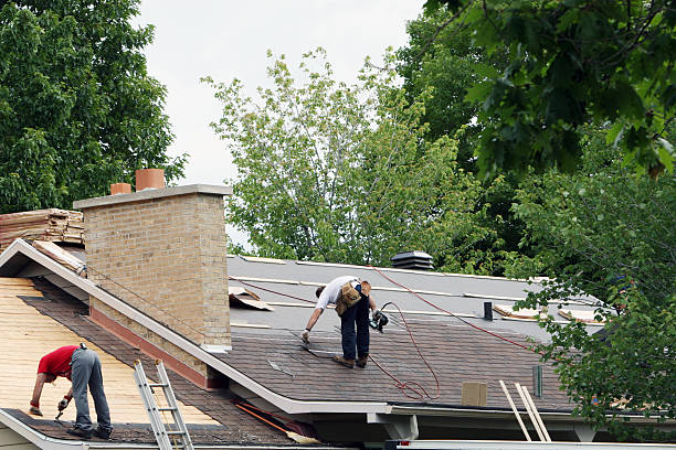 Best Shingle Roofing Installation  in Wrangell, AK