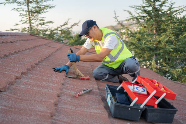 Best Roof Maintenance Services  in Wrangell, AK