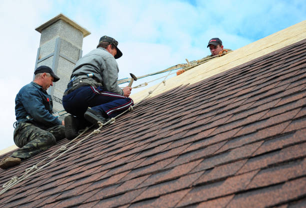 Best Roof Replacement Cost  in Wrangell, AK