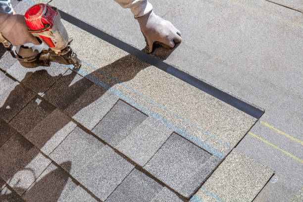 Best Metal Roofing Contractor  in Wrangell, AK