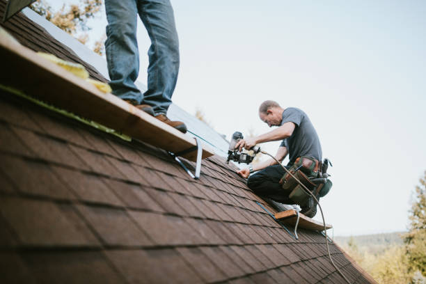 Best Roof Repair Services  in Wrangell, AK