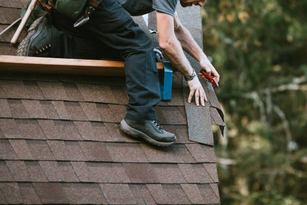 Best New Roof Installation  in Wrangell, AK
