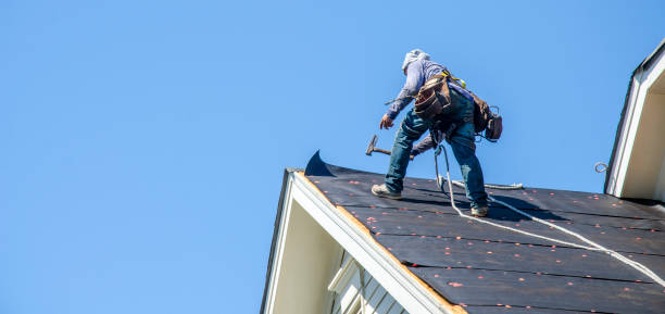 Best Roof Gutter Cleaning  in Wrangell, AK